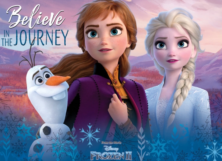 Pare soleil Reine des neiges